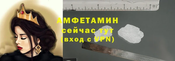 твердый Дмитриев