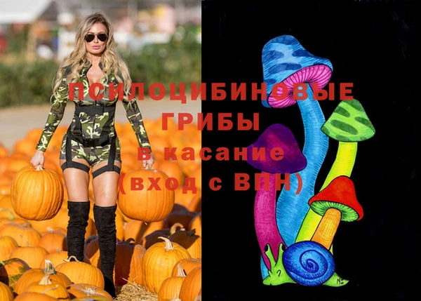 прущая мука Дмитров