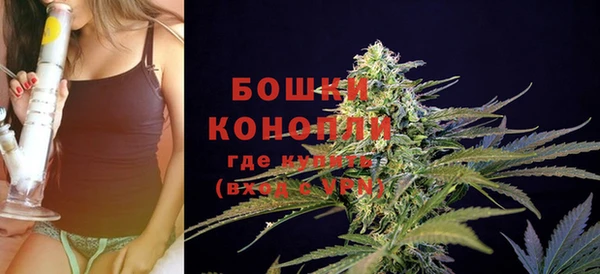 твердый Дмитриев
