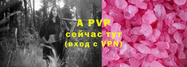 твердый Дмитриев