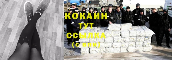 твердый Дмитриев