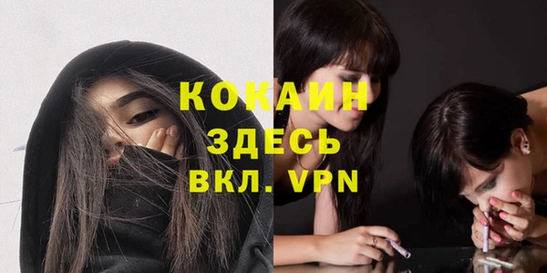 твердый Дмитриев